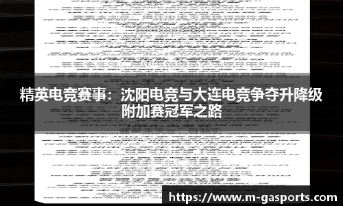 精英电竞赛事：沈阳电竞与大连电竞争夺升降级附加赛冠军之路