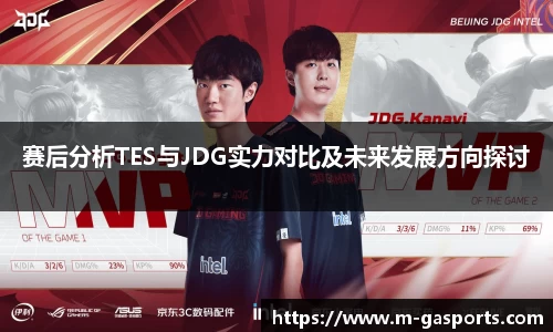 赛后分析TES与JDG实力对比及未来发展方向探讨